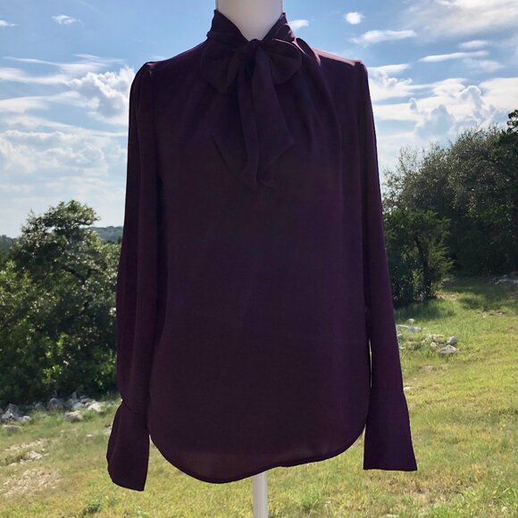 H&M Deep Purple Long-Sleeve Tie-Neck V-Neck Blouse Women's Size 2 Elegant Work - Picture 1 of 16